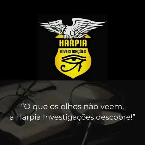HARPIA INVESTIGAÇÕES PARTICULARES