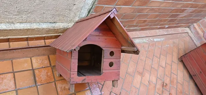 Casinha Cachorrro