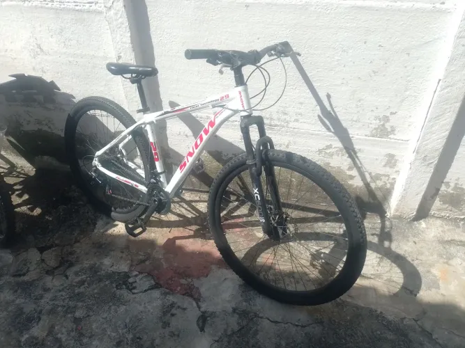 Bike Revisada Aro 29