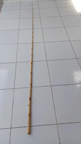 Vara de pesca
