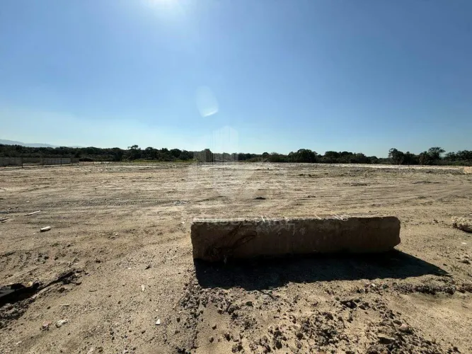 Terreno Estratégico de 6.000 m² para Logística e Containers
