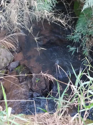 terreno com 240 mil metros quadrados de terra em Itapeva-MG com cachoeira