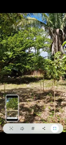 Sitio macajituba av principal