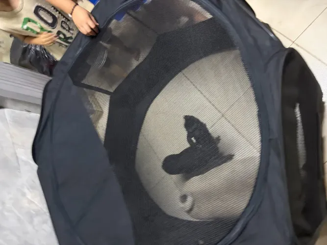 Cerquinha para cachorro e gato