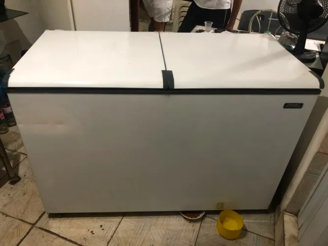 Frizzer horizontal duas portas 