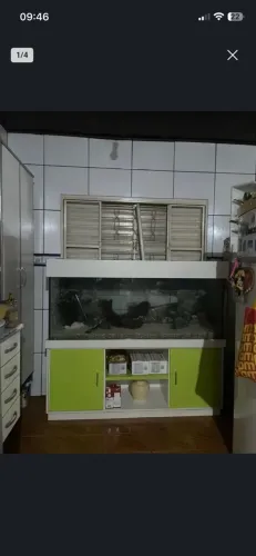 Áquario de Peixes Completo!