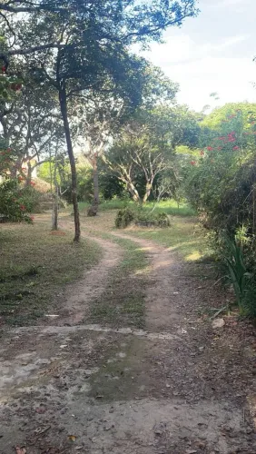 Vendo sítio 2500mts 