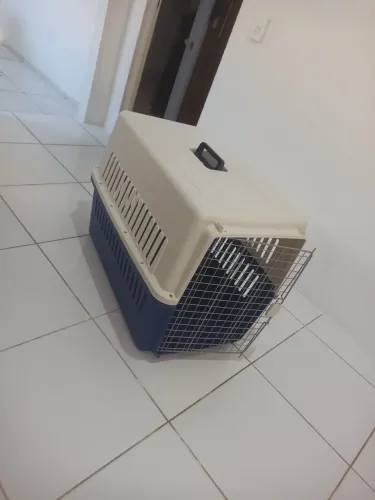 Caixa Transporte Pet Dogfly Padrão Iata Avião Tamanho 6 N6