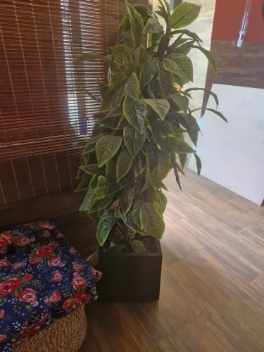 Planta artificial