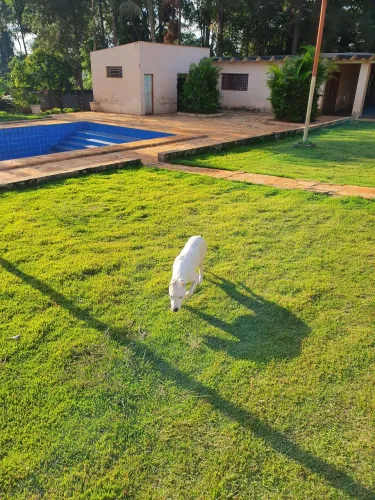 Vende-se chacara