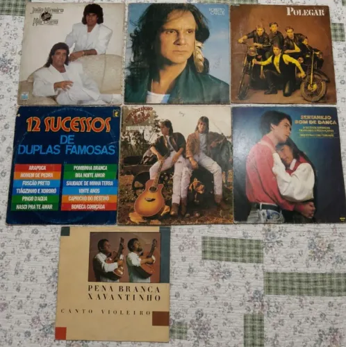 Lote 7 Discos artistas Nacionais