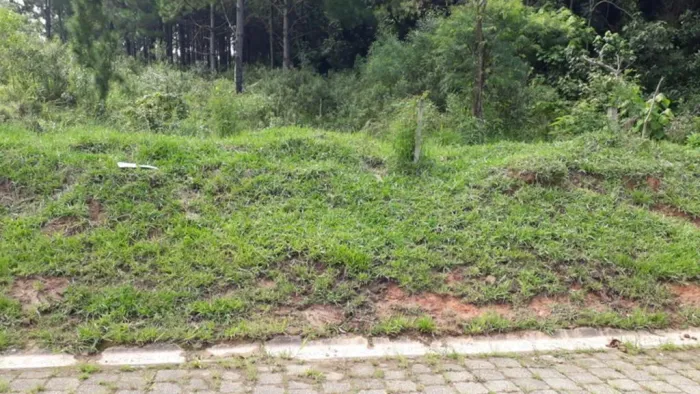 Lote em condomínio em Rua Sergipe - Jardim Barbacena - Cotia/SP