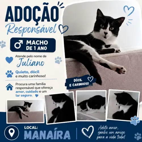 Adoção Responsável 