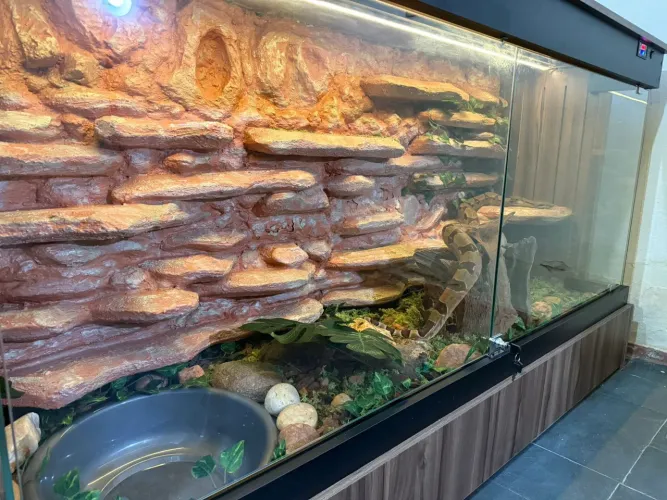 Terrario sob medida