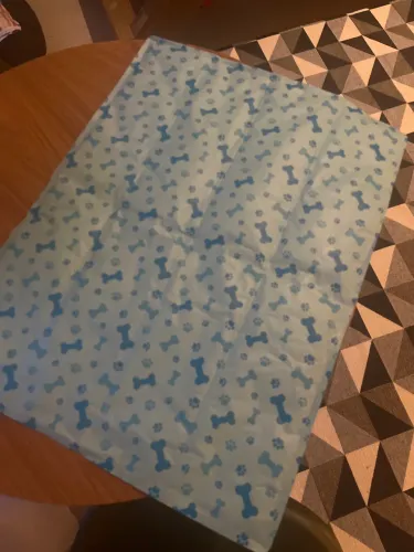 Brinquedo/tapete Geladinho para pet
