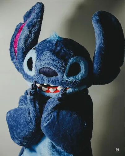Stitch - Franck