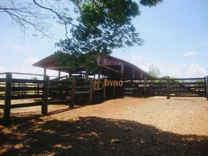 Fazenda à venda, 80 Alqueires por R$ 25.500.000 - Zona Rural- Quadra/SP