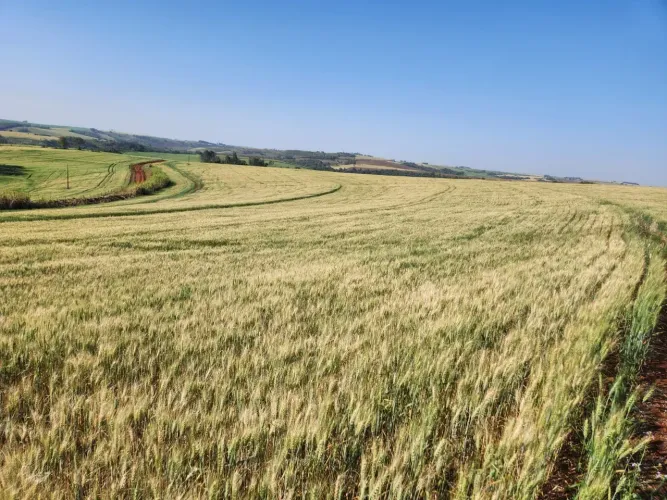 Fazenda entre Sao Jeronimo da Serra e Nova Santa Bárbara