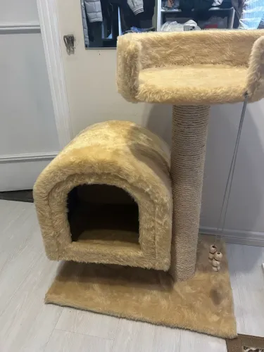 Linda casinha para gato