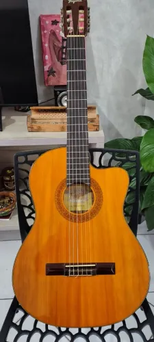 Tagima acoustic <br>Madrid-tuner-na