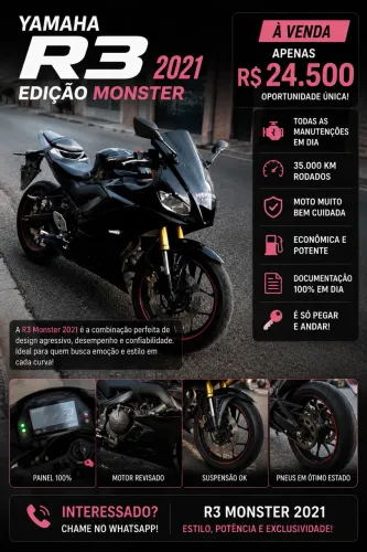 R3 2021 monster 321cc