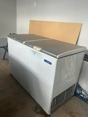 Freezer horizontal