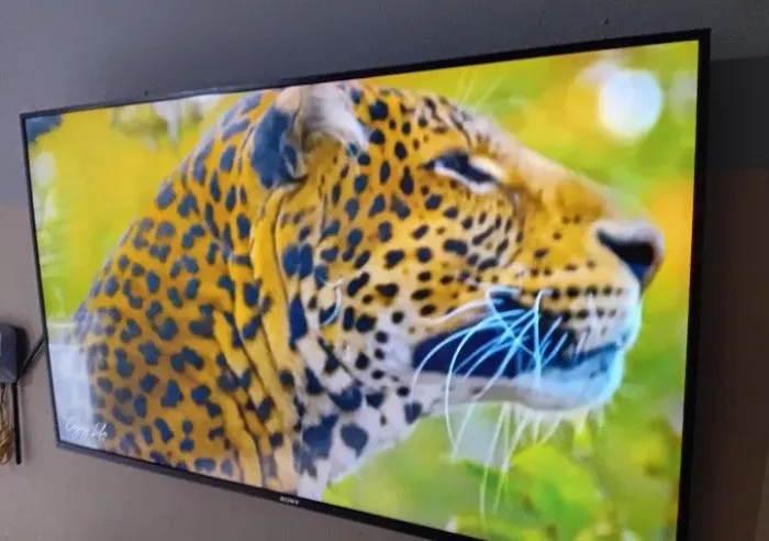 Smart Sony 4k 55 polegadas Android