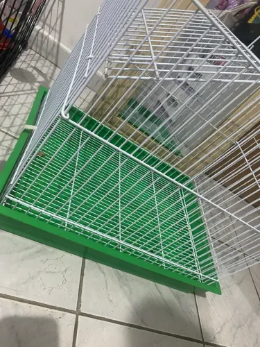 Gaiola venda Rápida!