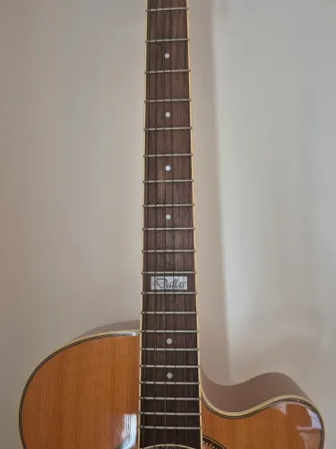 Violão Tagima