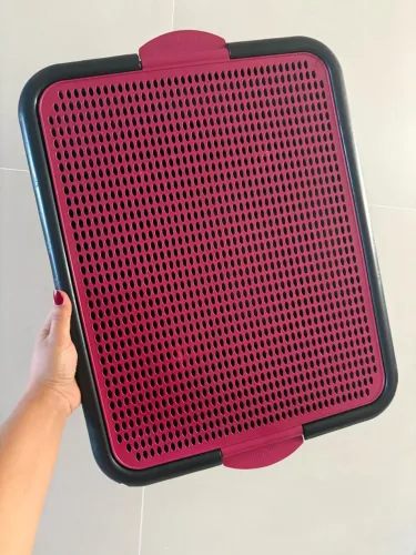 Tapete higiênico para pet