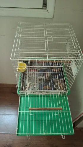 Gaiola para Pássaros Calopsita