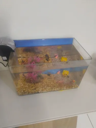 objeto para decoração