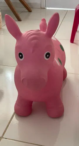 Burrinho