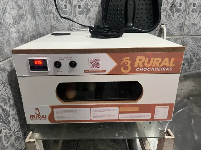 Chocadeira 100 ovos com medidor de temperatura
