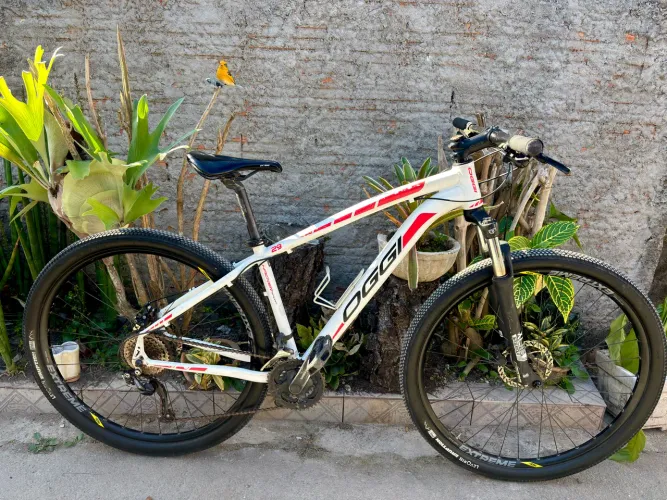 Bike Oggi hacker Aro 29