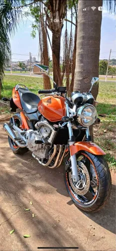 Hornet 600 carburada
