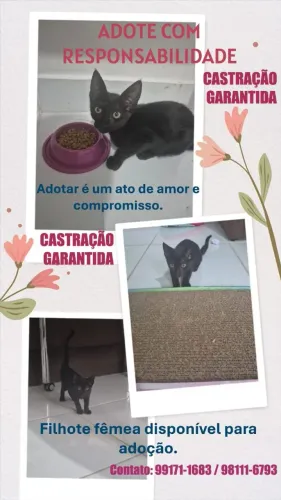 Adote com Responsabilidade