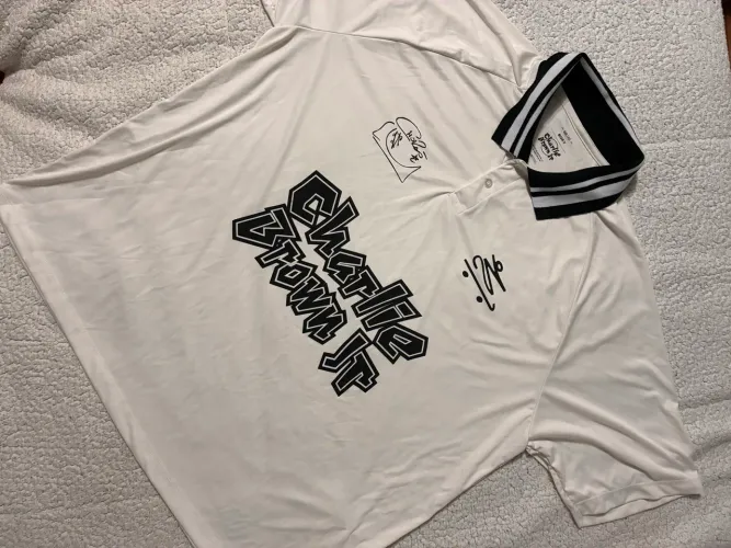 camiseta boxy charlie brown jr 