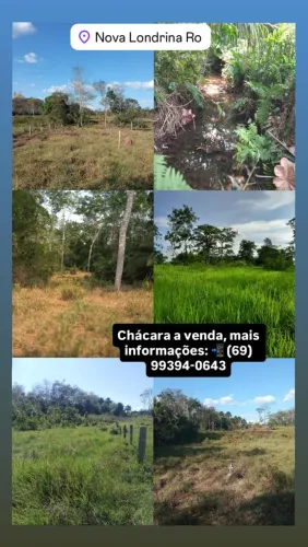 Vendo chácara localizada em nova Londrina