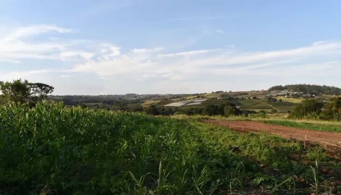 Vaga de emprego área rural 