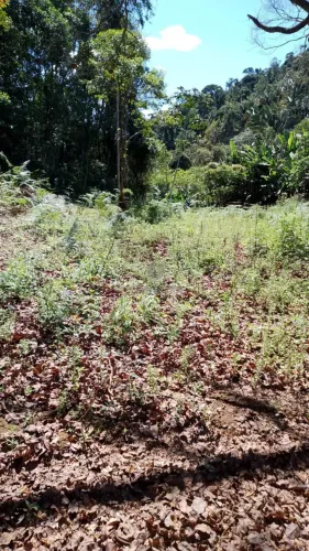 Terreno financiável, 93.000m² à venda em Marechal Floriano - 5 minutos do centro