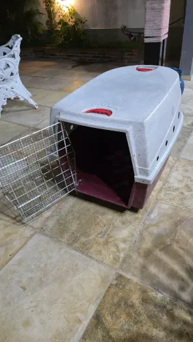 Caixa Transporte Pet Cachorro n° 4