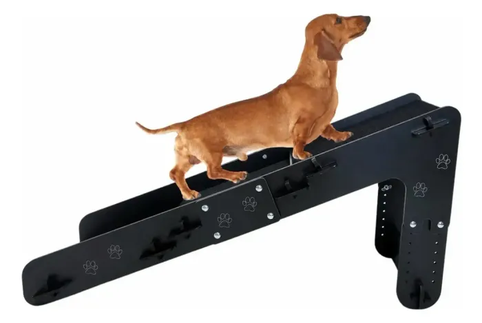 Rampa Ergonômica Ajustável 7 Níveis Sofá Mdf Preta Carpete