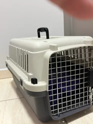 Caixa de transporte pet