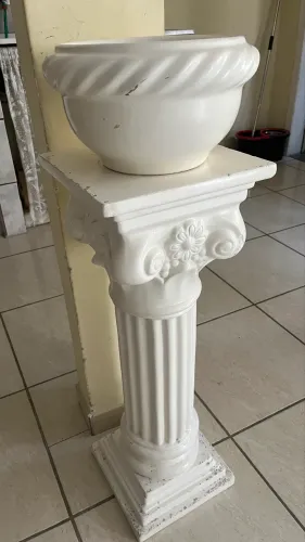 Caso de planta