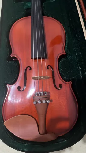 Violino