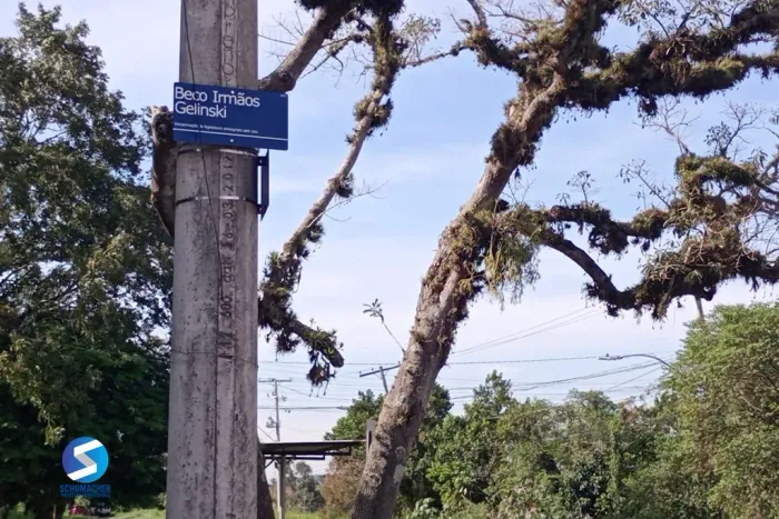 Fazenda em Belém Novo