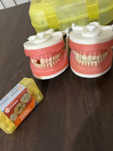 Manequim odontológico 