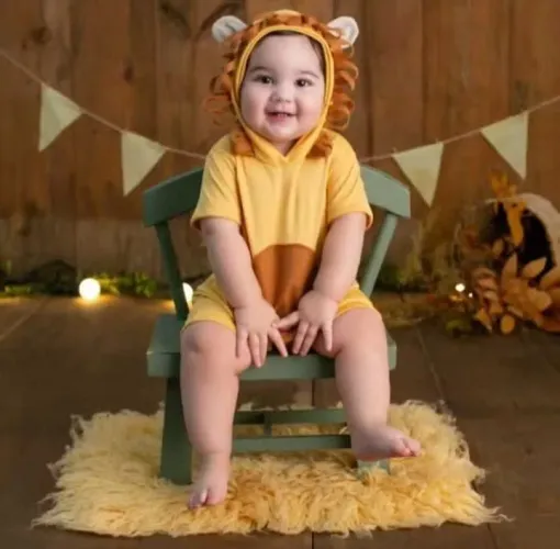 Fantasia infantil Rei leão 