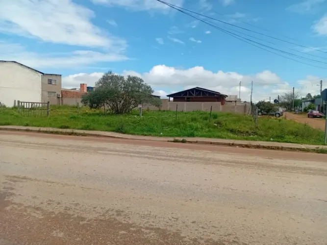 Terreno em rua Asfaltada
